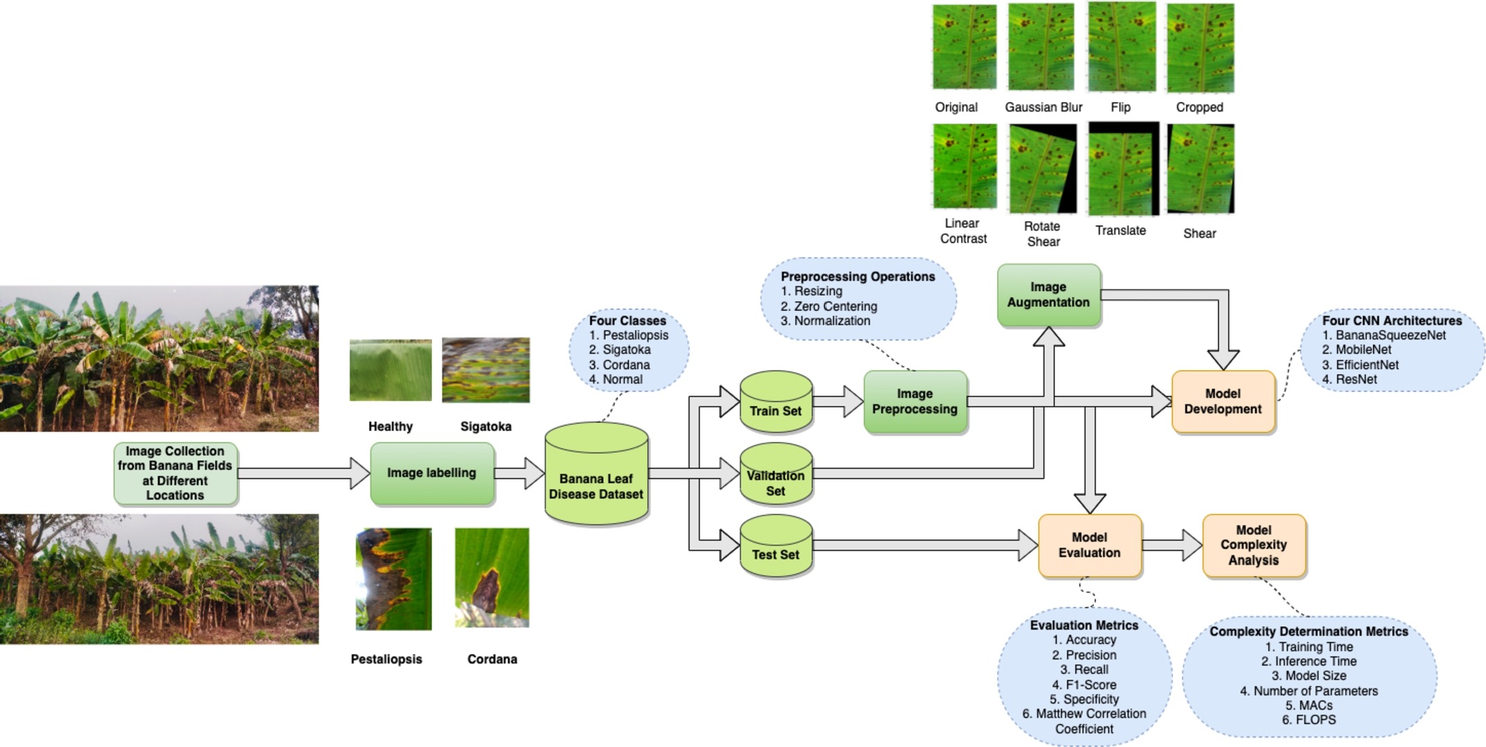 BananaSqueezeNet: A very fast, lightweight convolutional neural network for the diagnosis of three prominent banana leaf diseases